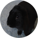 Adéla Fořtová profile picture
